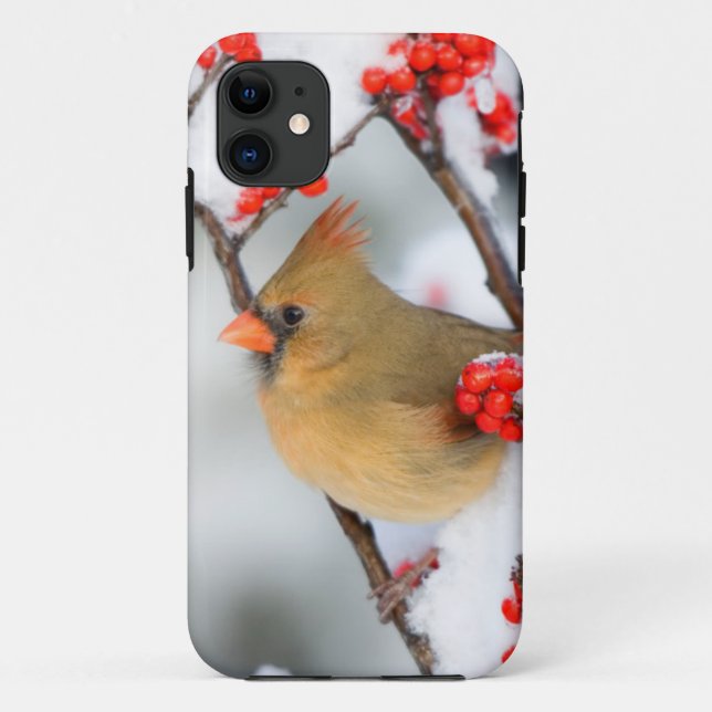Capa Para iPhone Da Case-Mate Cardinal-do-norte fêmea em Winterberry Comum (Verso)