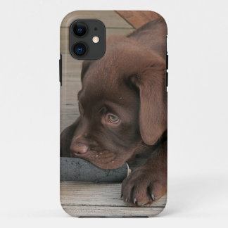 Capa Para iPhone Da Case-Mate Caso de Iphone 5 com chocolate labrador retriever