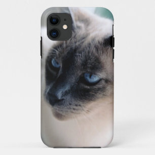 Capa Para iPhone Da Case-Mate Caso do Aloof Siamese Cat iPhone 5
