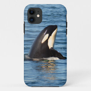 Capa Para iPhone Da Case-Mate Caso do iPhone 5/5S de Spyhop da orca K27