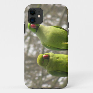 Capa Para iPhone Da Case-Mate caso do iPhone 5 com parakeets curiosos
