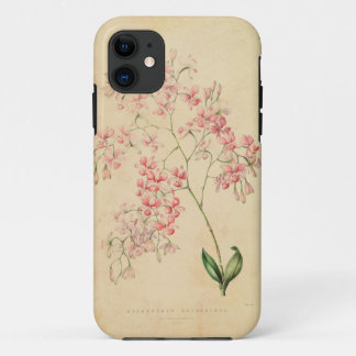 Capa Para iPhone Da Case-Mate caso do iPhone 5 - ilustração da orquídea do