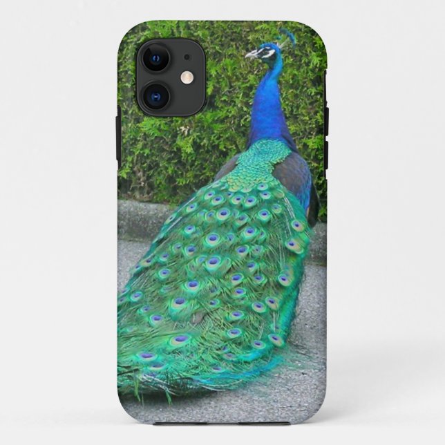 Capa Para iPhone Da Case-Mate Caso do iPhone 5, "Pavão Orgulhoso" (Verso)