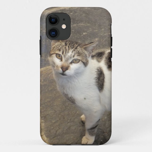 Capa Para iPhone Da Case-Mate Cat iPhone 5 case-mate (Verso)