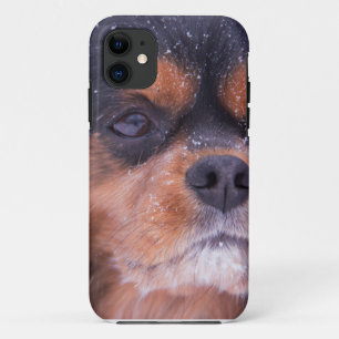 Capa Para iPhone Da Case-Mate Cavalier King Charles Spaniel Snowflake