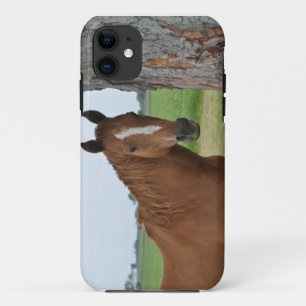 Capa Para iPhone Da Case-Mate Cavalo em Pé ao Lado da Árvore