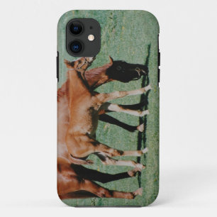 CAPA PARA iPhone DA Case-Mate CAVALOS AMIGÁVEIS