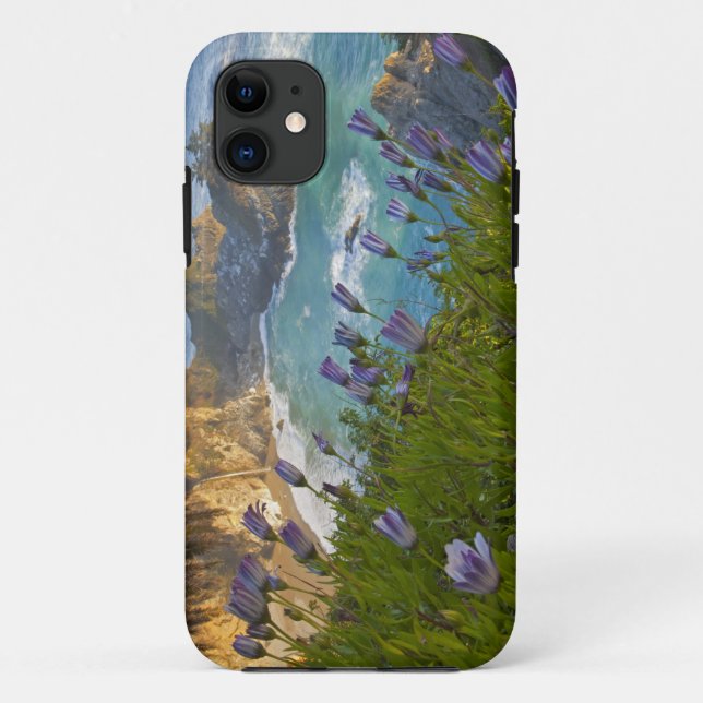 Capa Para iPhone Da Case-Mate Cenário de McWay Falls deságua na praia e (Verso)