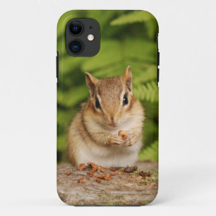 Capa Para iPhone Da Case-Mate Chipmunk adorável do bebê com petisco