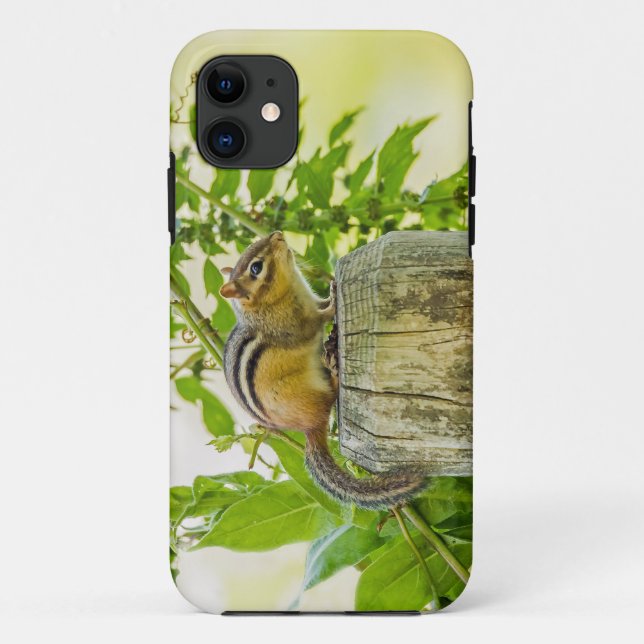 Capa Para iPhone Da Case-Mate Chipmunk em um Posto de cerca (Verso)