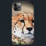 Capa Para iPhone Da Case-Mate Chita Retrato de Lua Cheia: Graça da Natureza<br><div class="desc">Cheetah Retrato de Full Moon: Graça da Natureza Apresentando o "Cheetah Retrato da Lua Cheia: Graça da Natureza", um espantoso impressão de arte que captura a beleza serena de uma das criaturas mais graciosas da natureza. Descrição: Esta trabalho de arte apresenta um retrato aproximado de um guepardo, com o rosto...</div>