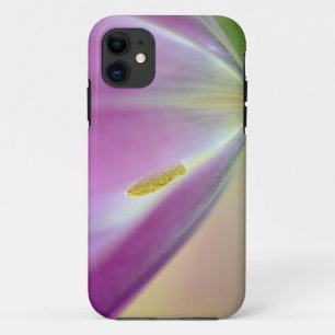 Capa Para iPhone Da Case-Mate Close-up do lado inferior da flor de tulipa, Kueke