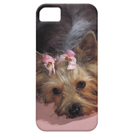 Capa Para iPhone Da Case-Mate Cobrir adorável do iPhone 5 do cão do KRW Yorkie