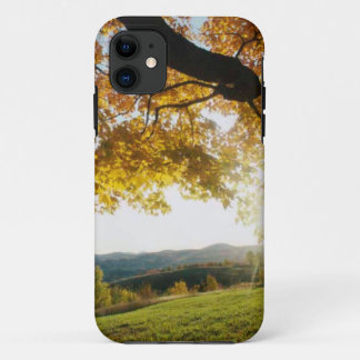CAPA PARA iPhone DA Case-Mate COBRIR DE IPHONE - FOLHAS DE OUTONO