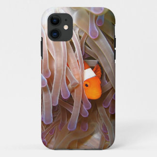 Capa Para iPhone Da Case-Mate Cobrir do iPhone 5 dos peixes do palhaço
