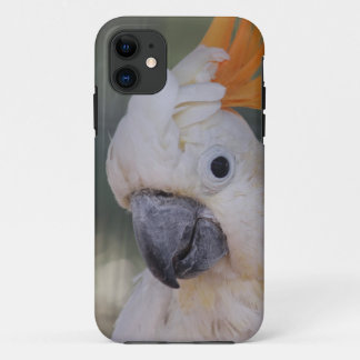Capa Para iPhone Da Case-Mate Cockatoo com crista amarelo (caso do iPhone 5)
