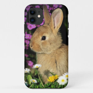 Capa Para iPhone Da Case-Mate Coelhinho da Páscoa