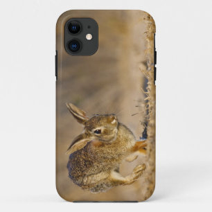 Capa Para iPhone Da Case-Mate coelho-da-cotovia-oriental saltando