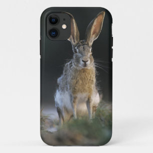 Capa Para iPhone Da Case-Mate Coelho-de-cauda-negra, Lepus californicus, 2