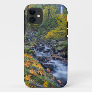 Capa Para iPhone Da Case-Mate Cor de Outono ao Longo das Quedas do Starvation Cr