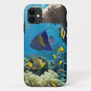 Capa Para iPhone Da Case-Mate Coral e peixes no Mar Vermelho, Egipto
