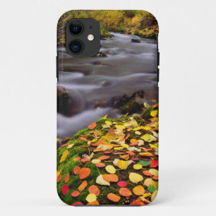 Capa Para iPhone Da Case-Mate Cores de Outono ao longo do McGee Creek