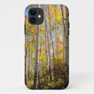 Capa Para iPhone Da Case-Mate Cores de outono das árvores Aspen 5