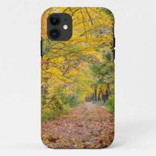 Capa Para iPhone Da Case-Mate Cores de Outono no Parque Estadual Independence