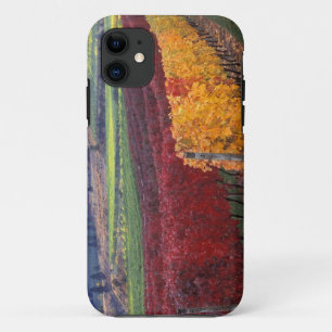Capa Para iPhone Da Case-Mate Cores intensas de vermelho e amarelo no outono em