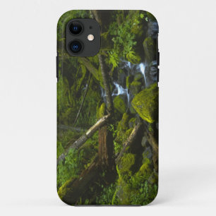 Capa Para iPhone Da Case-Mate Córrego da Floresta Tropical Temperada no Rio Colu