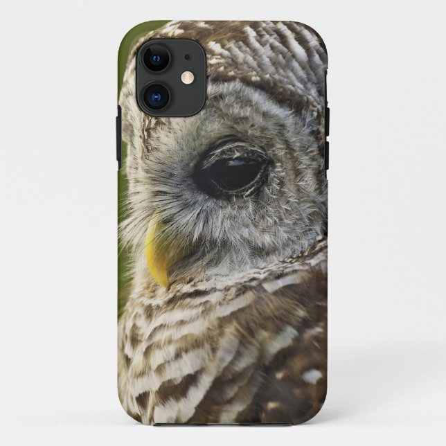 Capa Para iPhone Da Case-Mate Coruja-barreada, Strix varia, Michigan (Verso)