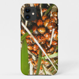 Capa Para iPhone Da Case-Mate Damybugs (Coccinellidae)