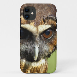 Capa Para iPhone Da Case-Mate Destino animal da harmonia da árvore do parque