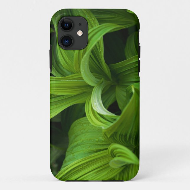 Capa Para iPhone Da Case-Mate Dewdrops em um Helabore falso (Verso)