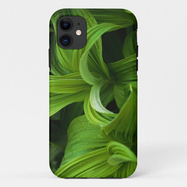Capa Para iPhone Da Case-Mate Dewdrops em um Helabore falso (Verso)