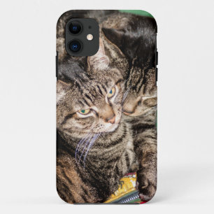 Capa Para iPhone Da Case-Mate Dois Gatos
