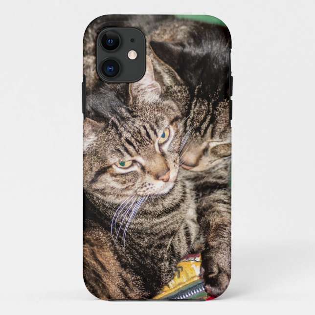 Capa Para iPhone Da Case-Mate Dois Gatos (Verso)