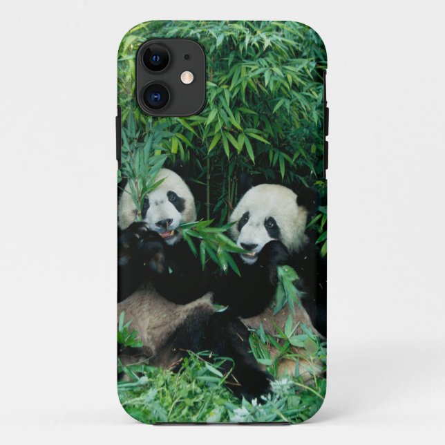 Capa Para iPhone Da Case-Mate Dois pandas comendo bambu juntos, Wolong (Verso)