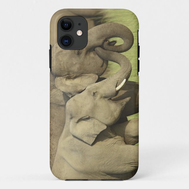 Capa Para iPhone Da Case-Mate Elefantes Asiáticos Indianos (Verso)