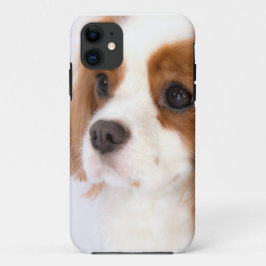 Capa Para iPhone Da Case-Mate Estojo para iphone 5g do doce Cavalier King Charle