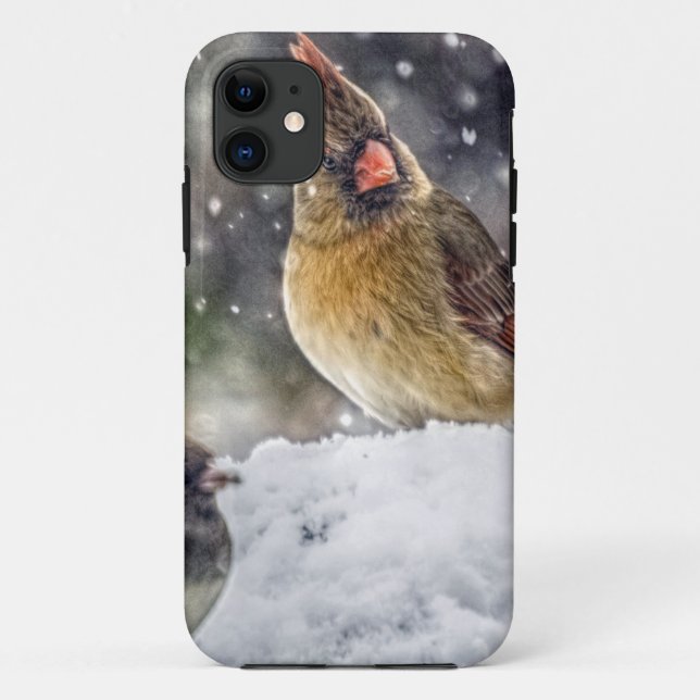 Capa Para iPhone Da Case-Mate Estou de olho em você (Verso)