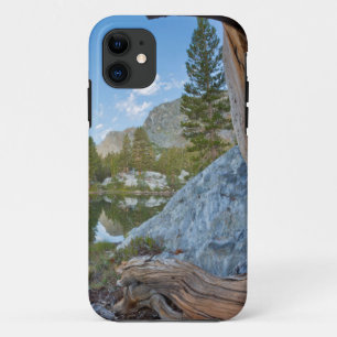 Capa Para iPhone Da Case-Mate EUA, Califórnia, Floresta Nacional Inyo. Pine Anti