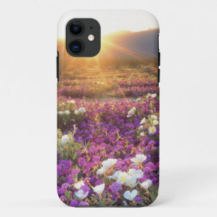 Capa Para iPhone Da Case-Mate EUA, Califórnia, Parque Estadual do Deserto de Anz