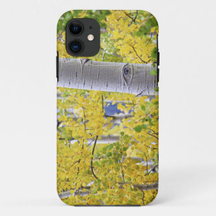 Capa Para iPhone Da Case-Mate EUA, Colorado, Montanhas Rochosas. Intimo álamo 2