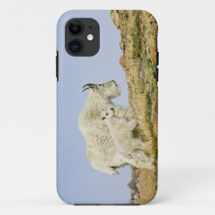Capa Para iPhone Da Case-Mate EUA, Colorado, Montanhas Rochosas, Monte Evans,