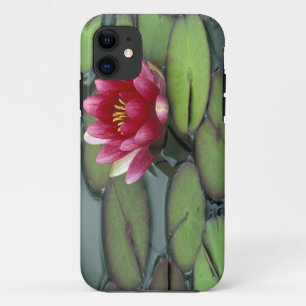 Capa Para iPhone Da Case-Mate EUA, Estado de Washington, Seattle. Lírio de água
