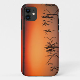 Capa Para iPhone Da Case-Mate EUA, Flórida. Silhuetas de galhos de árvores morta