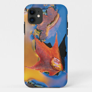 Capa Para iPhone Da Case-Mate EUA, Nordeste, Folha de Bordo em Reflexo