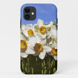Capa Para iPhone Da Case-Mate EUA, Oregon, Vale do Willamette. Os narcisos cresc