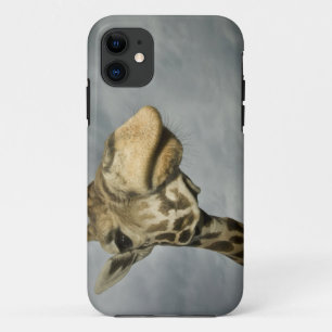 Capa Para iPhone Da Case-Mate EUA, Texas, Área de Vida Selvagem Fossil Rim, gira